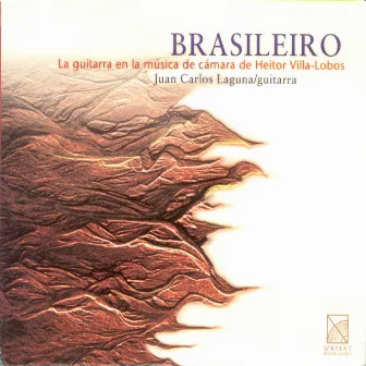 Brasileiro by Irasema Terrazas