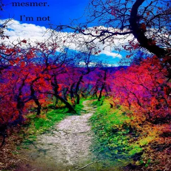 I'm Not by Mesmer