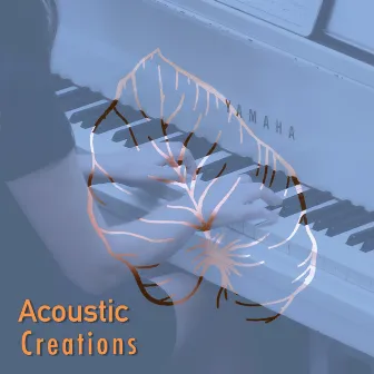 # Acoustic Creations by Unknown Artist