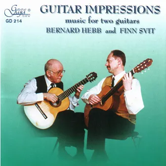 Guitar Impressions by Finn Svit