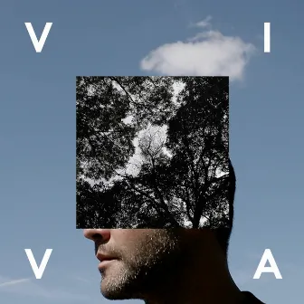 Viva by Maze