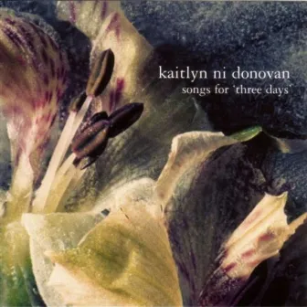 Songs For 'Three Days' by Kaitlyn Ni Donovan