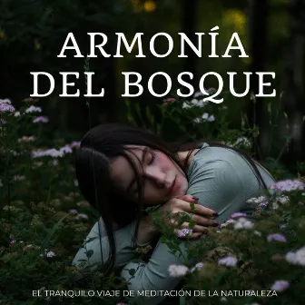 Armonía Del Bosque: El Tranquilo Viaje De Meditación De La Naturaleza by El arrastre