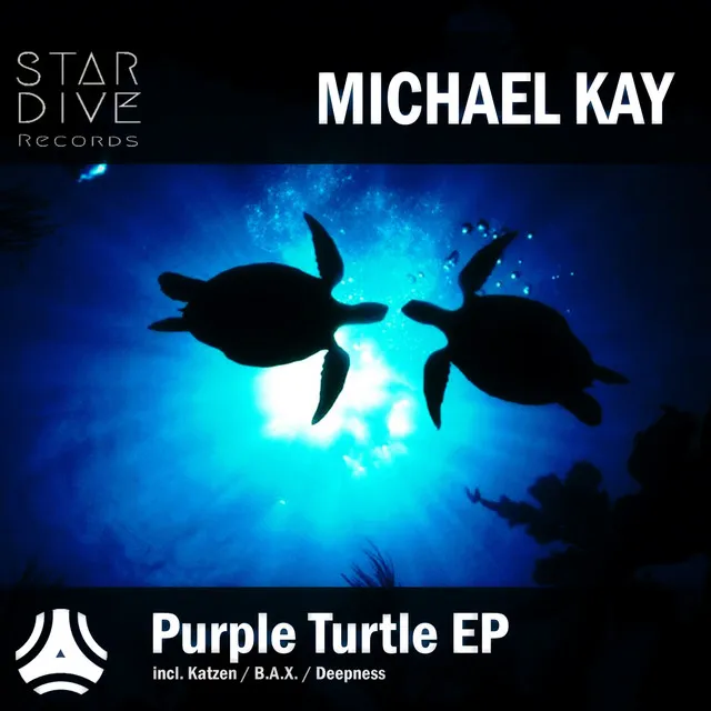 Purple Turtle - B.A.X. Remix