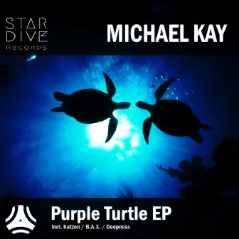 Purple Turtle by Michael Kay