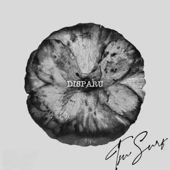 DISPARU by Tsu Surf