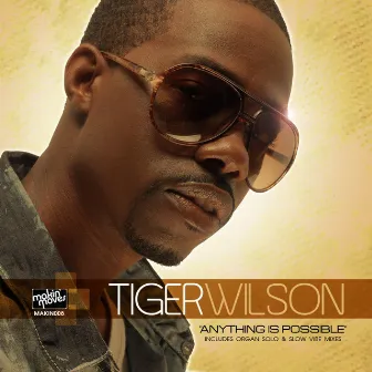 Anything Is Possible by Tiger Wilson