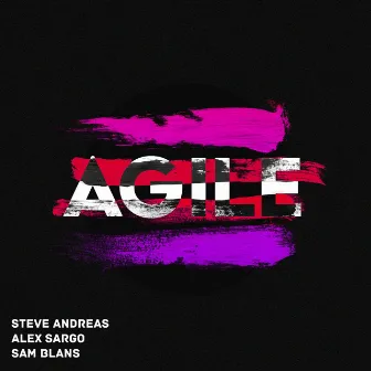 Agile by Steve Andreas