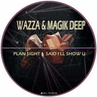 Plain Sight / Said I'll Show U by Wazza