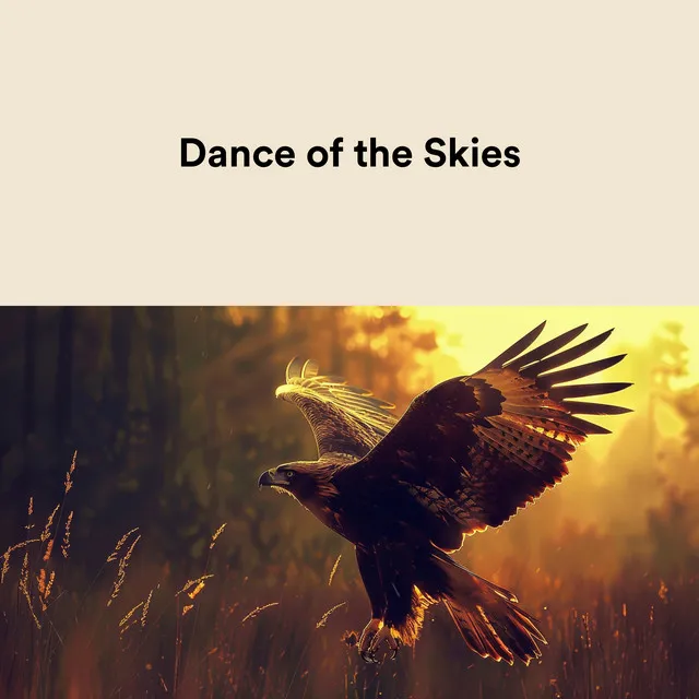 Dance of The Skies