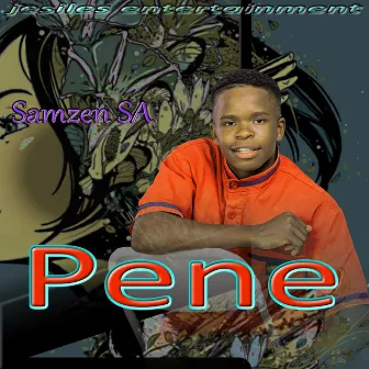 Pene by Samzen SA