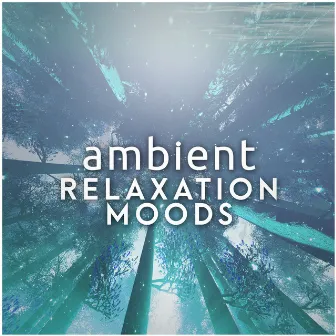 Ambient: Relaxation Moods by Zen Moods