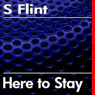 Here To Stay by S Flint