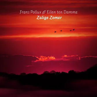 Zalige Zomer by Frans Pollux