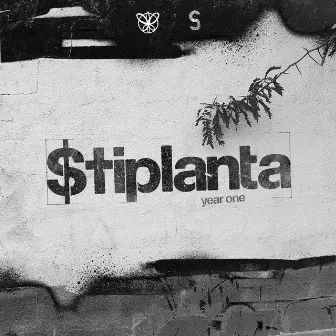 $TIPLANTA: YEAR ONE by $tiplanta