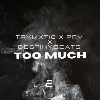 TOO MUCH by TrXmXtic