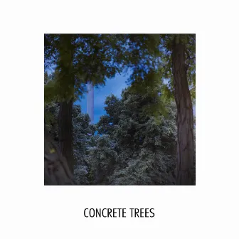 Concrete Trees by The Beep