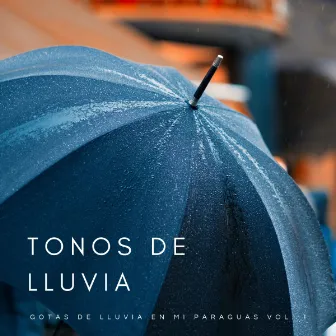 Tonos De Lluvia: Gotas De Lluvia En Mi Paraguas Vol. 1 by Colectivo de Música de Concentración