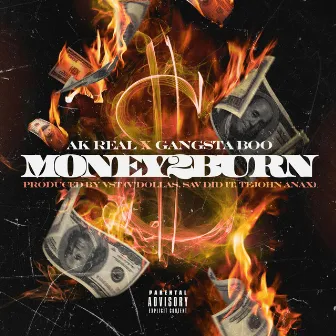 Money2Burn by AK Real