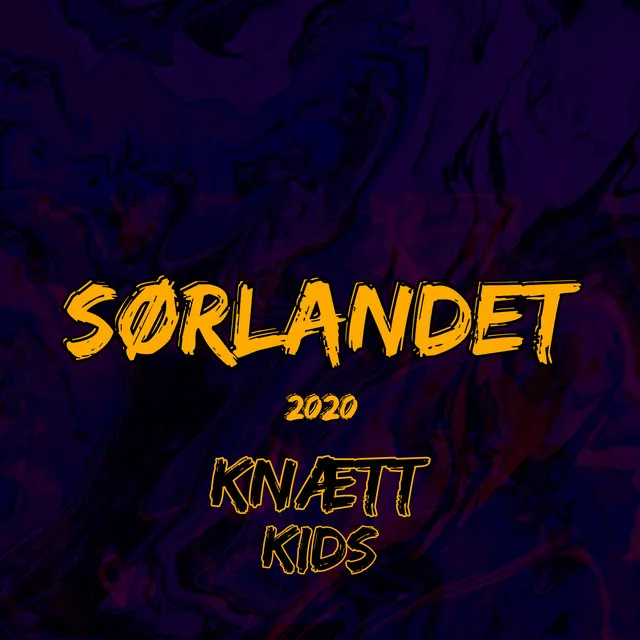 Sørlandet 2020