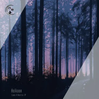 Leave it like it is EP by Heikoon