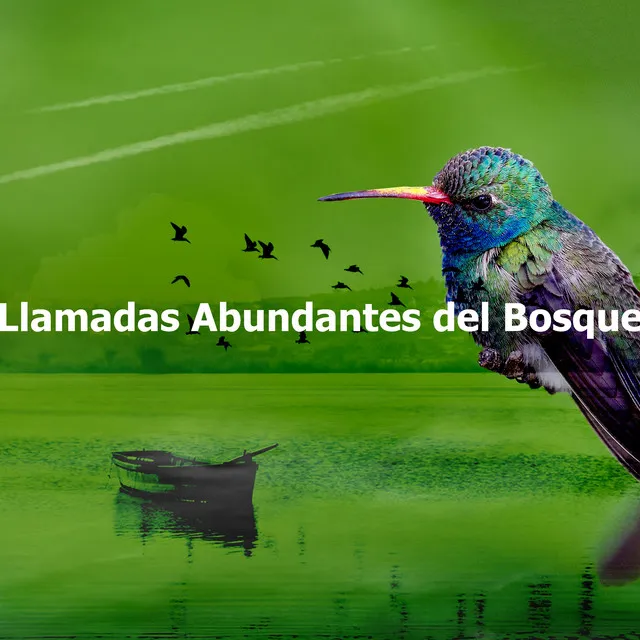 Llamadas Abundantes del Bosque