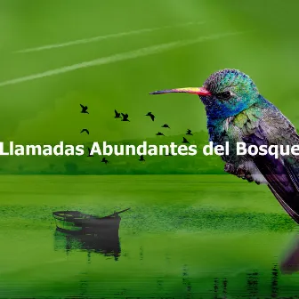 Llamadas Abundantes del Bosque by Bosque Ocupado