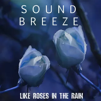 Like Roses in the Rain by Sound Breeze