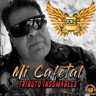 Mi Cafetal (Tributo Indomables) by Gerardo Chávez