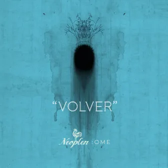 Volver by Zindu Cano