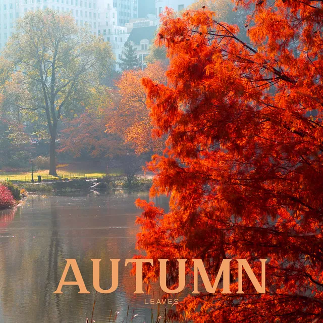 Autumn Leaves - Mind Relaxing Music