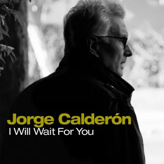 I Will Wait for You by Jorge Calderon