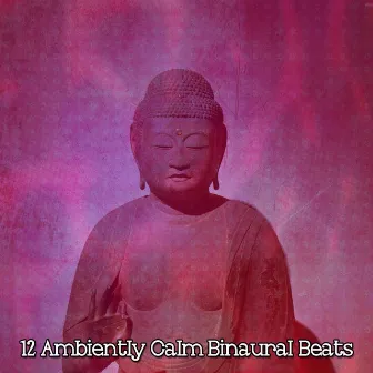 12 Ambiently Calm Binaural Beats by Binaural Institute