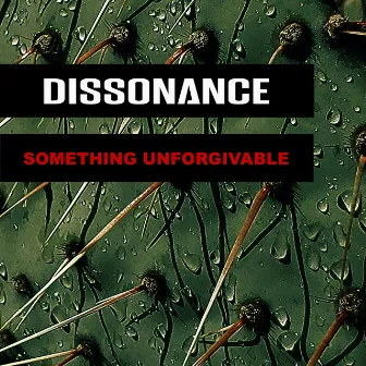 Something Unforgivable by Dissonance