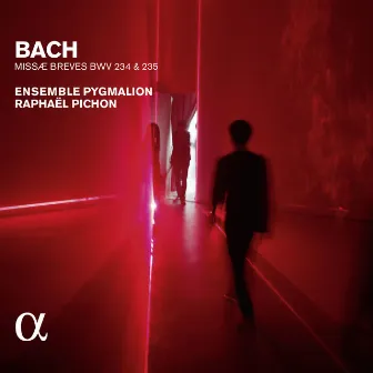 Bach: Missae breves BWV 234 & 235 (Alpha Collection) by Ensemble Pygmalion