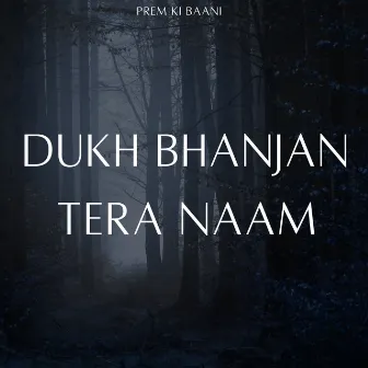 Dukh Bhanjan Tera Naam by Satnam