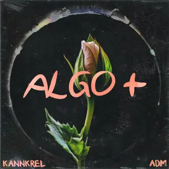 ALGO + by Kannkrel