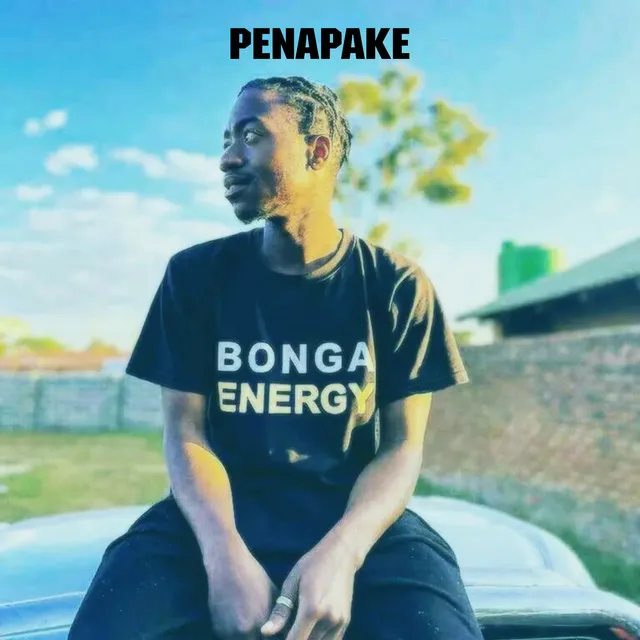 Penapake