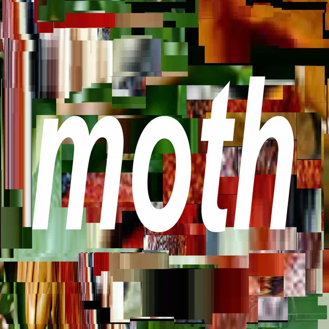 moth