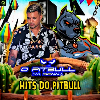 Hits do Pitbull by O Pitbull na Senna