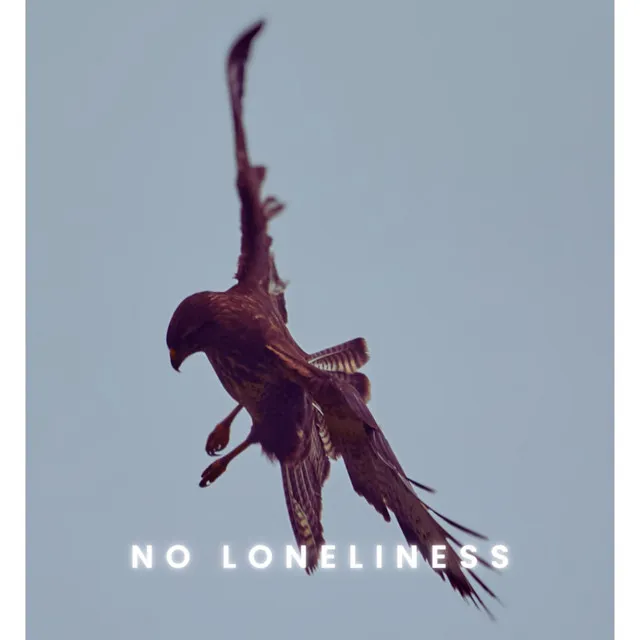 No Loneliness