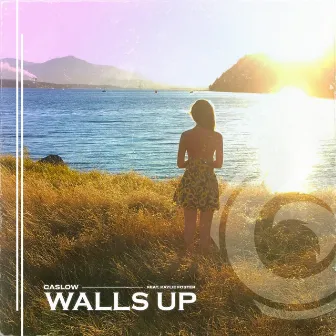 Walls Up by Kaylie Foster