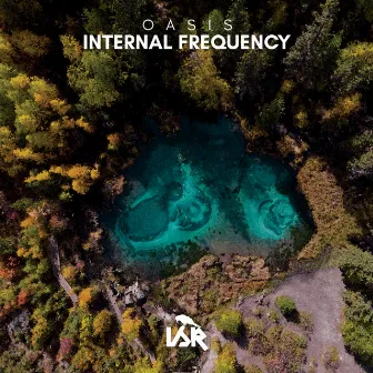 Oasis by Internal Frequency