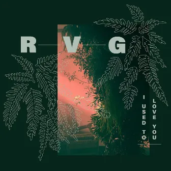 I Used to Love You by RVG