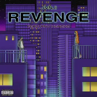 Revenge by Jvnji