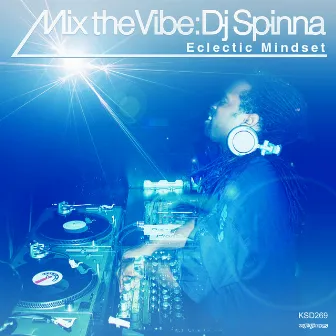 Mix The Vibe: Eclectic Mindset by DJ Spinna