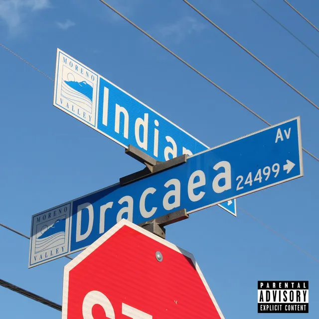 Dracea Ave