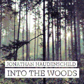 Into the Woods by Jonathan Haudenschild