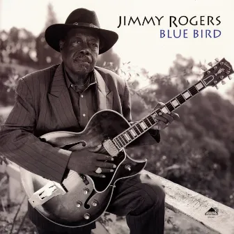 Blue Bird by Jimmy Rogers