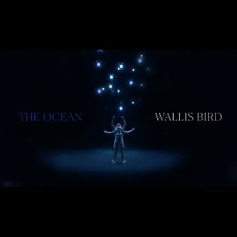 The Ocean by Wallis Bird